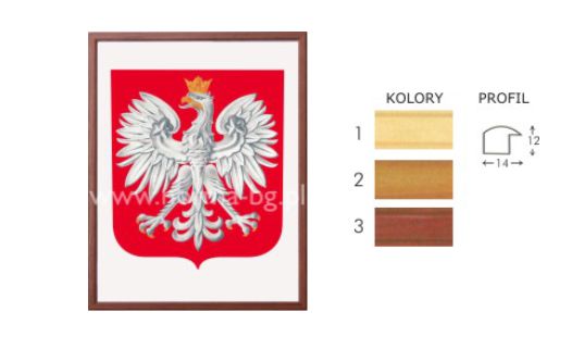 godło polski dla szkół